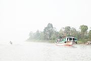 Foto: Cilts sievietes un saldūdens delfīnu meklējumi Borneo